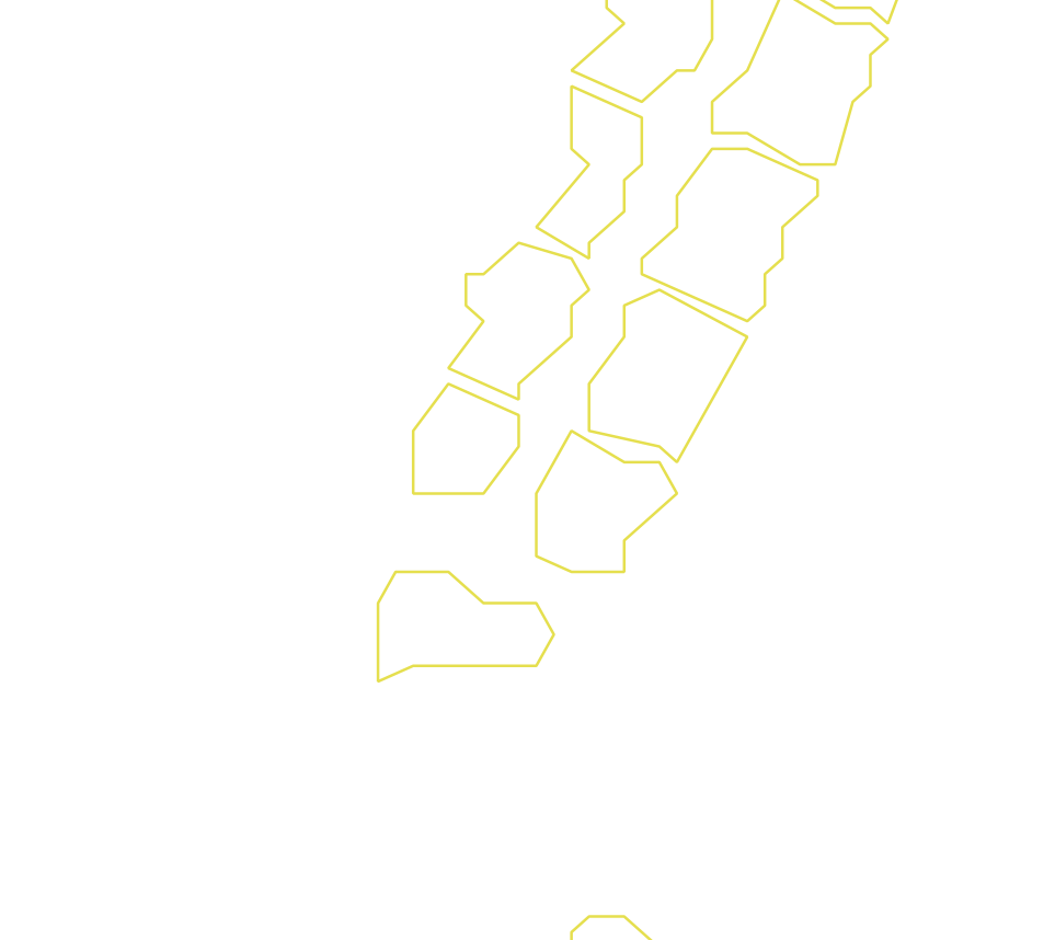 Daksegment ingezoomd met contourlijnen en structuurweergave