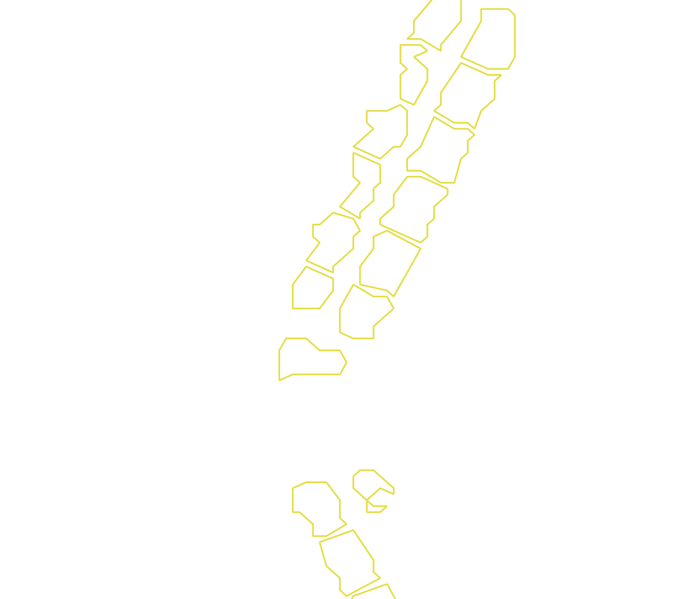 Daksegment met contourlijnen en structuurweergave
