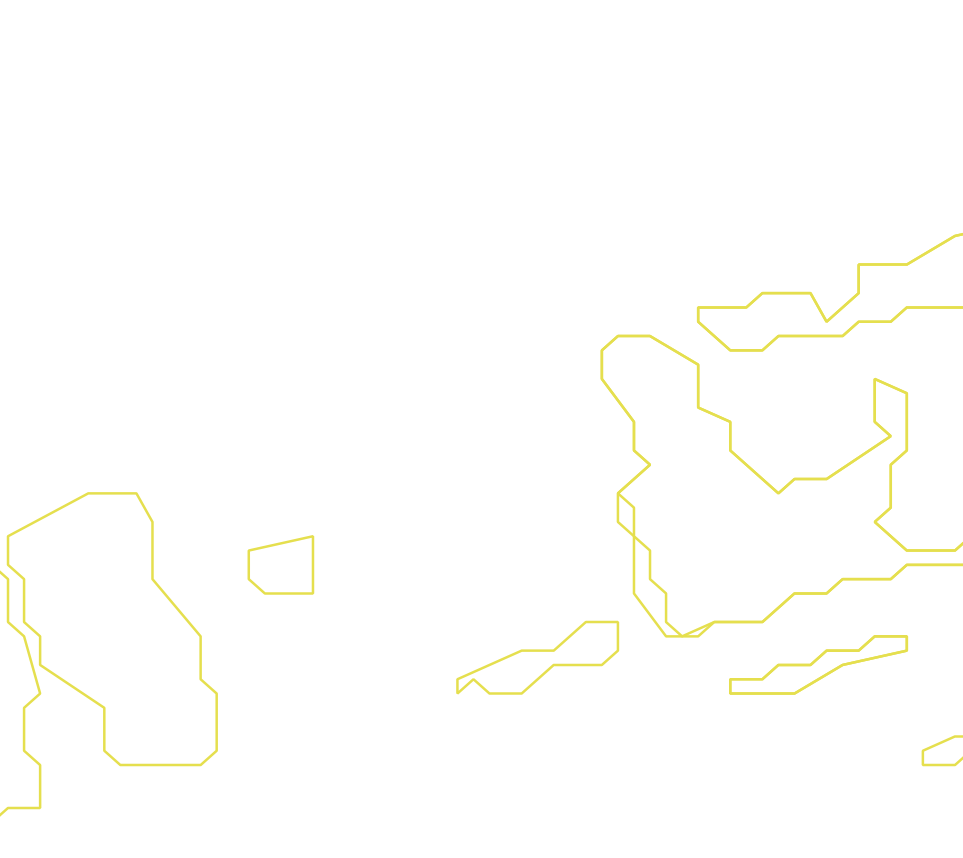 Daksegment ingezoomd met contourlijnen en structuurweergave