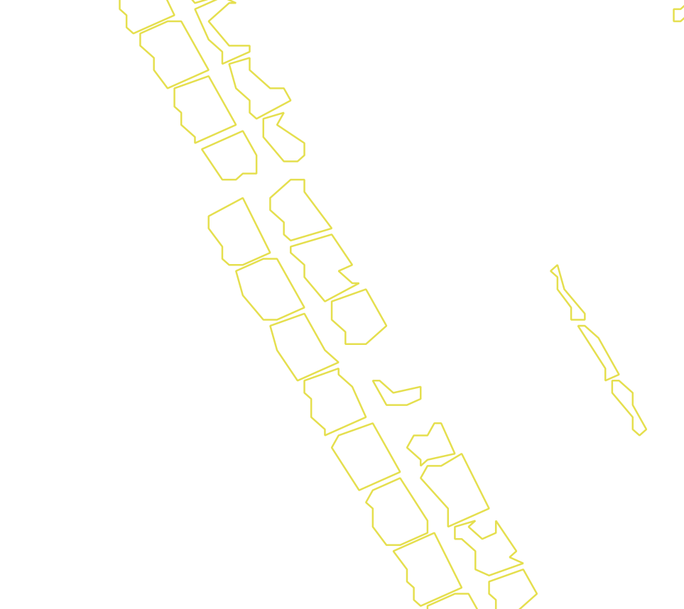 Daksegment met contourlijnen en structuurweergave