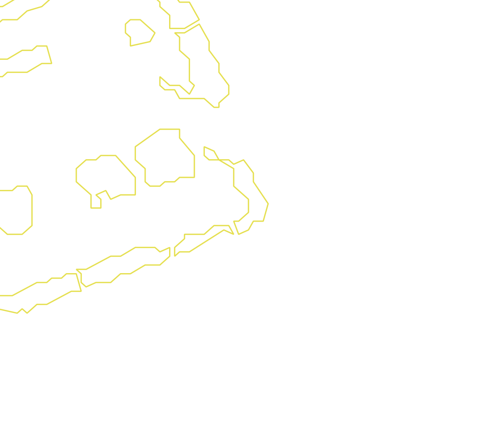 Daksegment met contourlijnen en structuurweergave