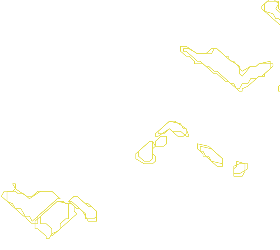 Daksegment met contourlijnen en structuurweergave