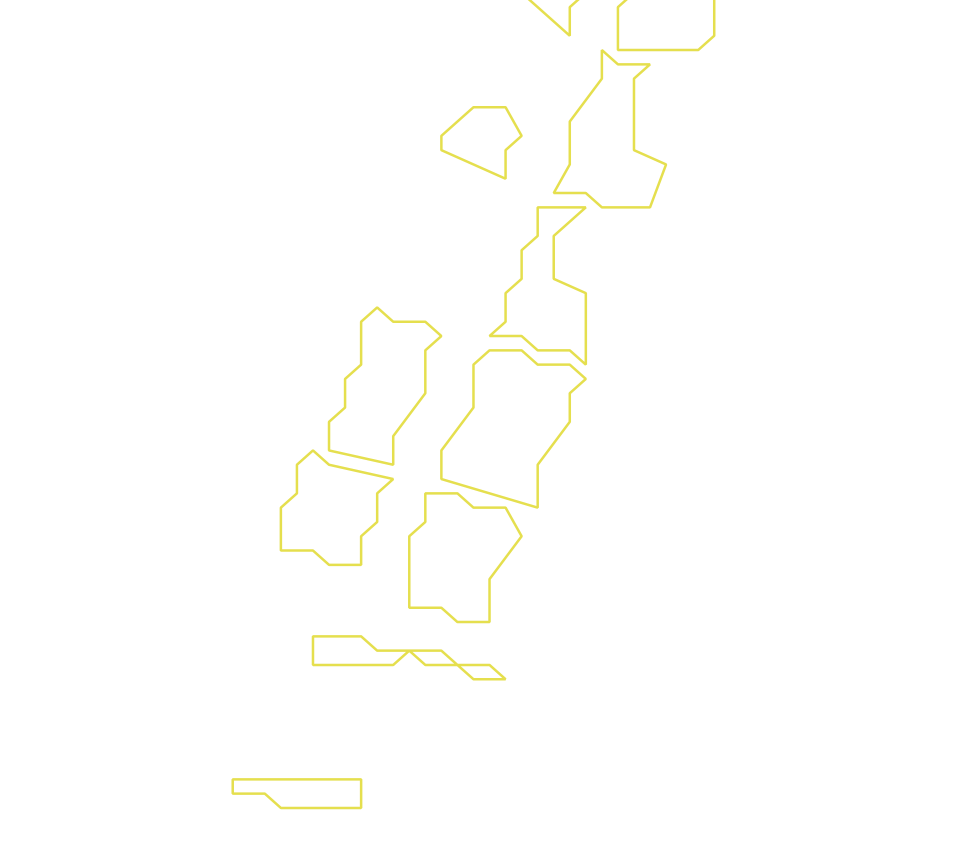 Daksegment ingezoomd met contourlijnen en structuurweergave