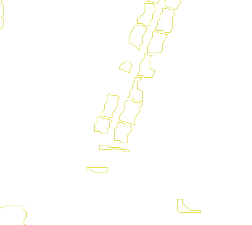 Daksegment met contourlijnen en structuurweergave