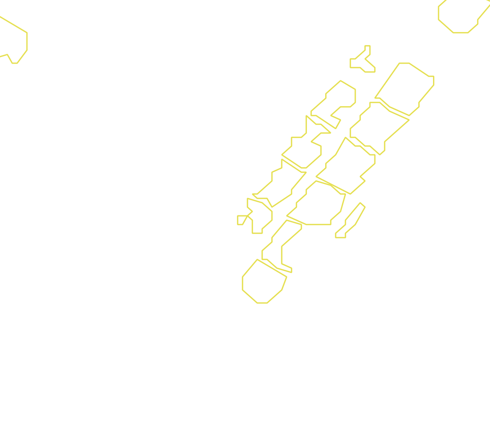 Daksegment met contourlijnen en structuurweergave