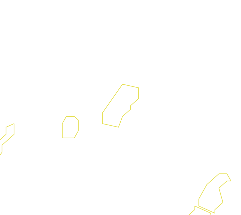 Daksegment ingezoomd met contourlijnen en structuurweergave