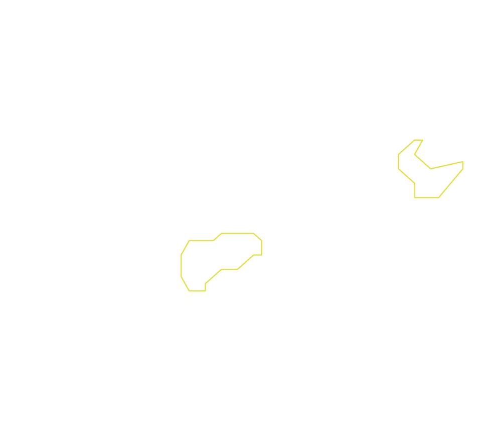 Daksegment ingezoomd met contourlijnen en structuurweergave