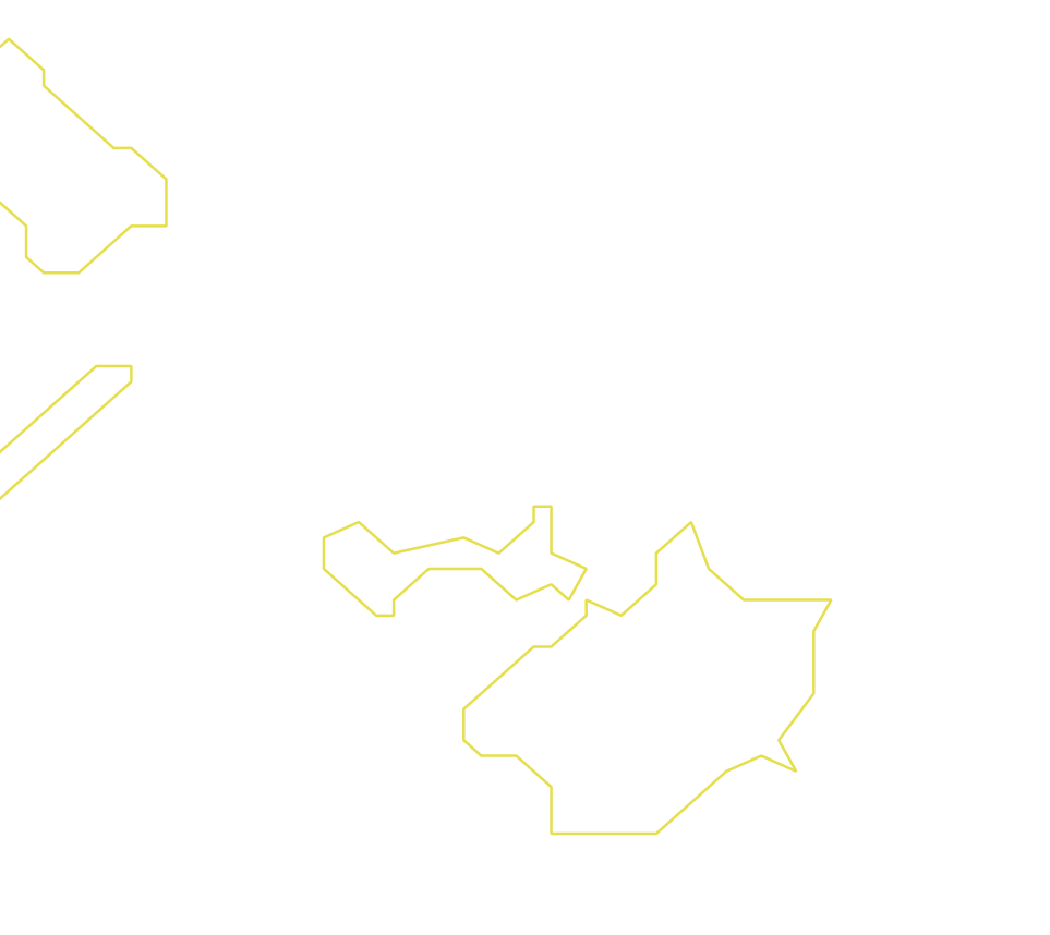 Daksegment ingezoomd met contourlijnen en structuurweergave
