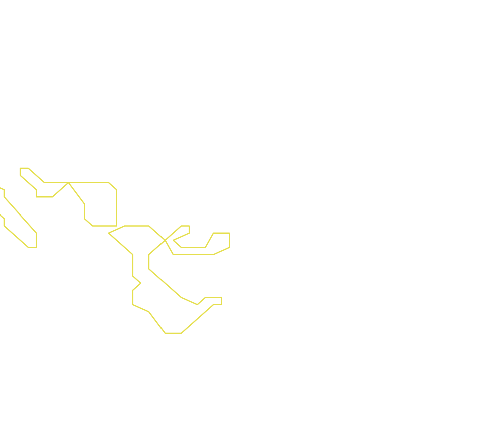 Daksegment ingezoomd met contourlijnen en structuurweergave