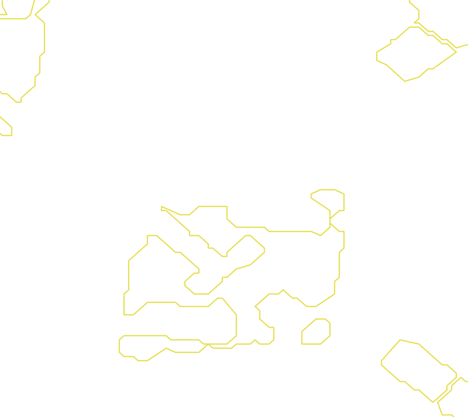 Daksegment met contourlijnen en structuurweergave