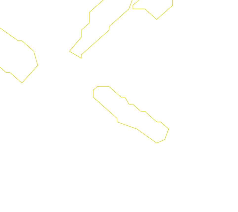 Daksegment ingezoomd met contourlijnen en structuurweergave
