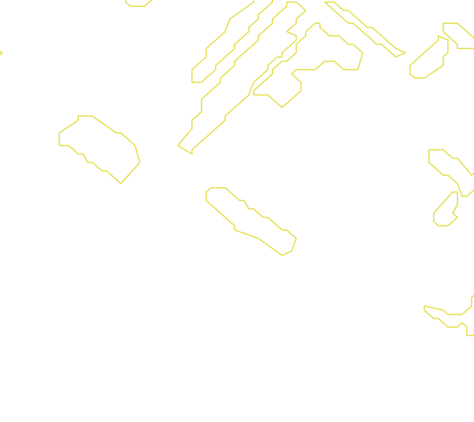 Daksegment met contourlijnen en structuurweergave