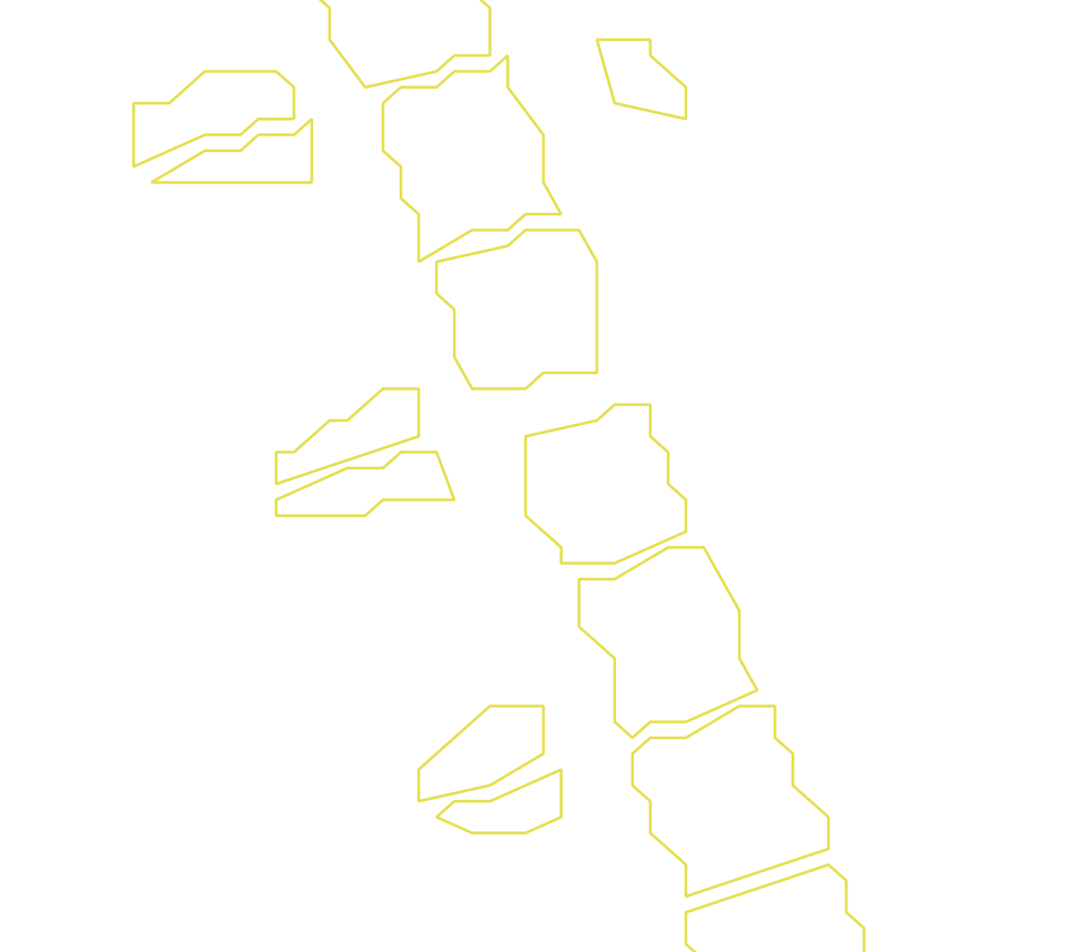 Daksegment ingezoomd met contourlijnen en structuurweergave