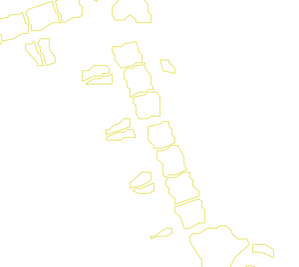 Daksegment met contourlijnen en structuurweergave