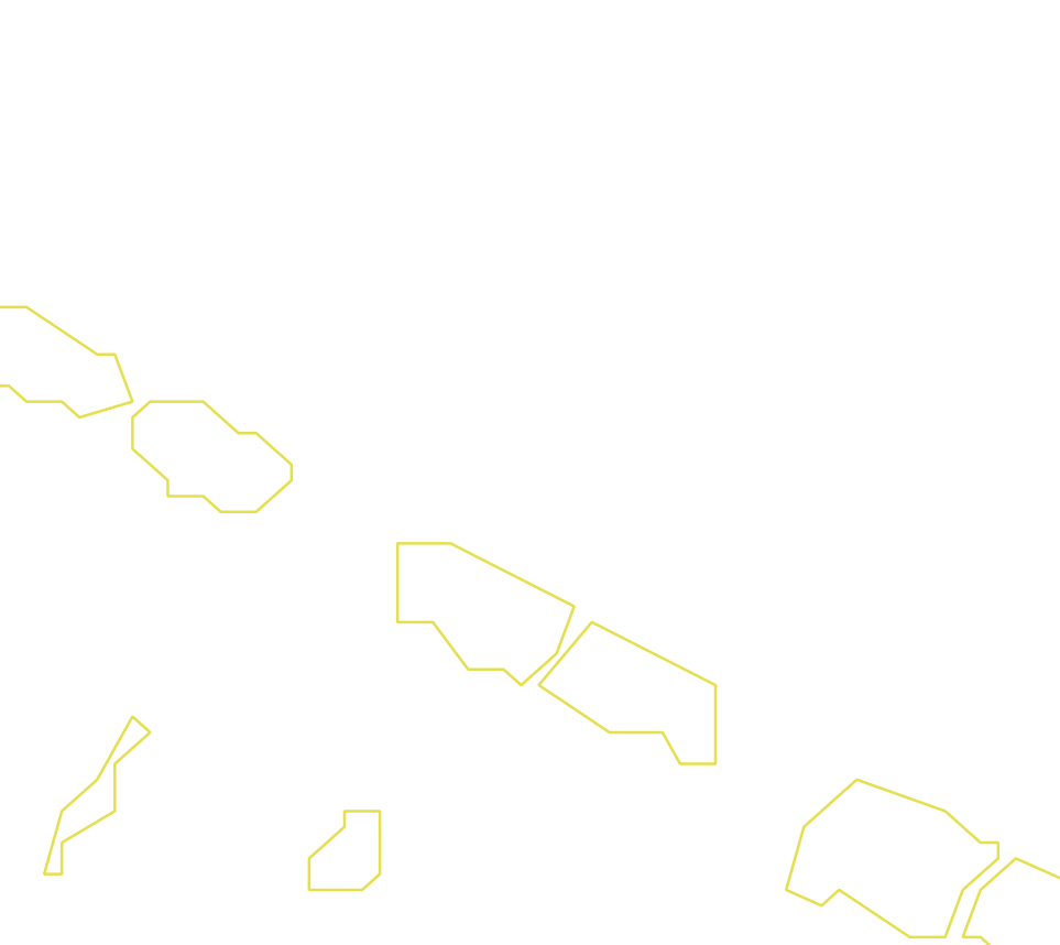 Daksegment ingezoomd met contourlijnen en structuurweergave