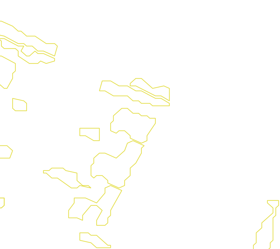Daksegment met contourlijnen en structuurweergave
