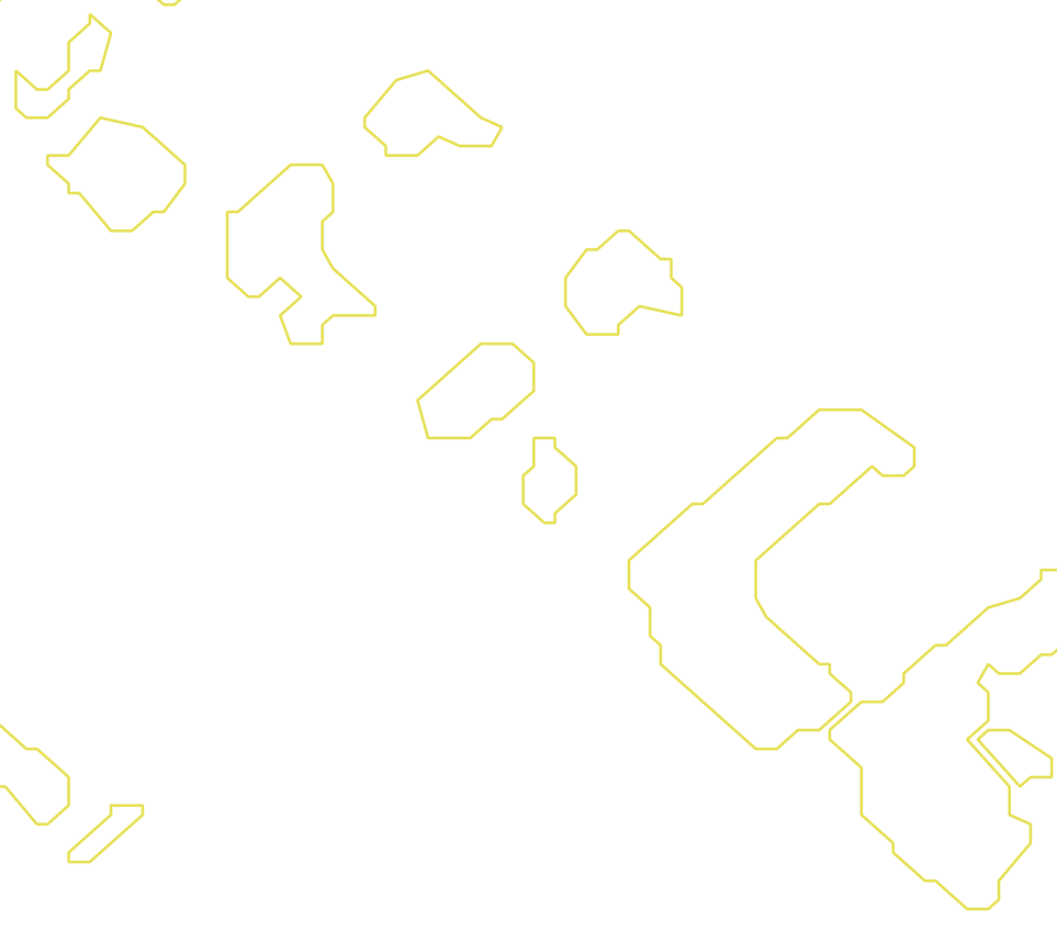 Daksegment met contourlijnen en structuurweergave