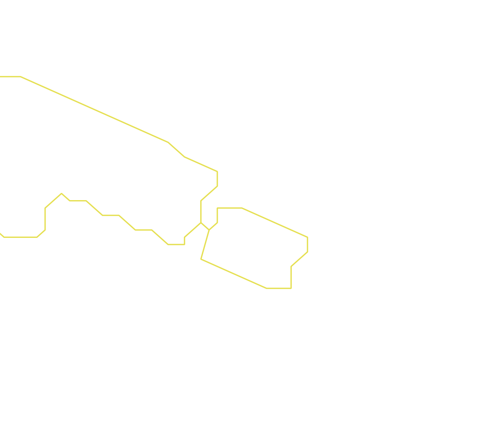 Daksegment ingezoomd met contourlijnen en structuurweergave