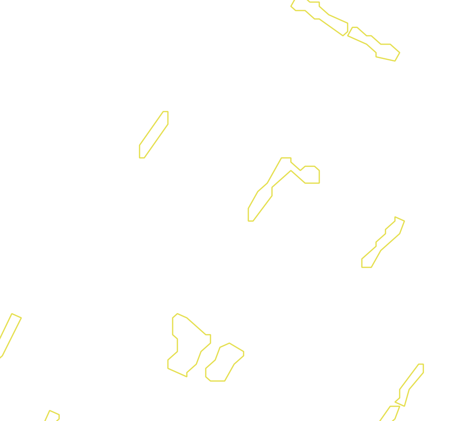 Daksegment met contourlijnen en structuurweergave