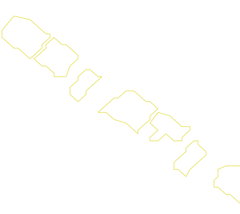 Daksegment ingezoomd met contourlijnen en structuurweergave