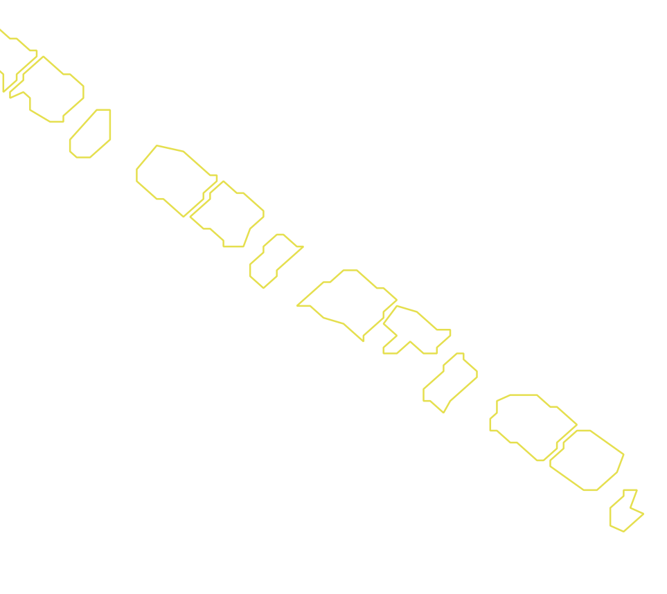 Daksegment met contourlijnen en structuurweergave