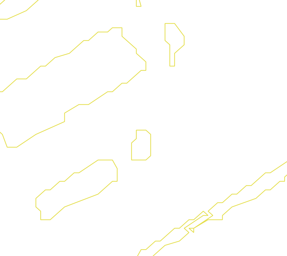 Daksegment ingezoomd met contourlijnen en structuurweergave