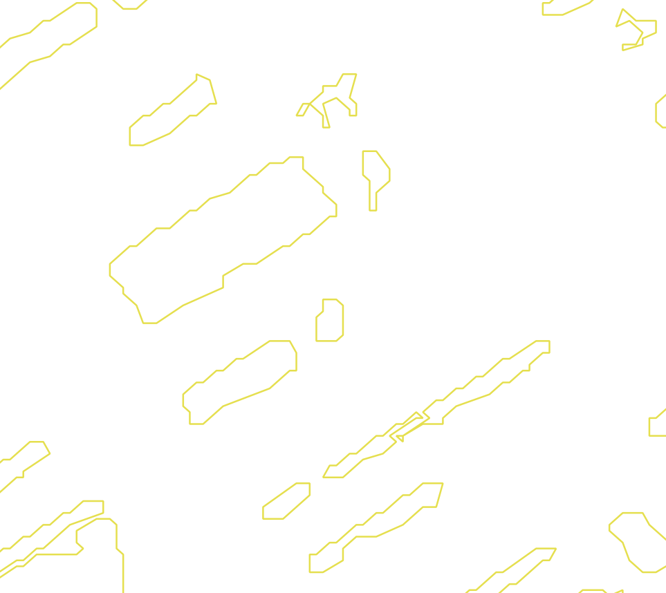 Daksegment met contourlijnen en structuurweergave