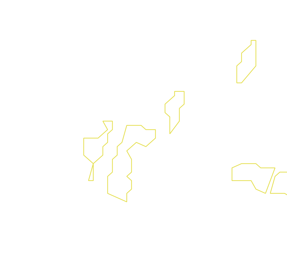 Daksegment ingezoomd met contourlijnen en structuurweergave