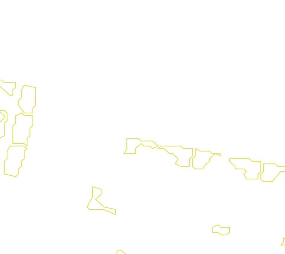 Daksegment met contourlijnen en structuurweergave