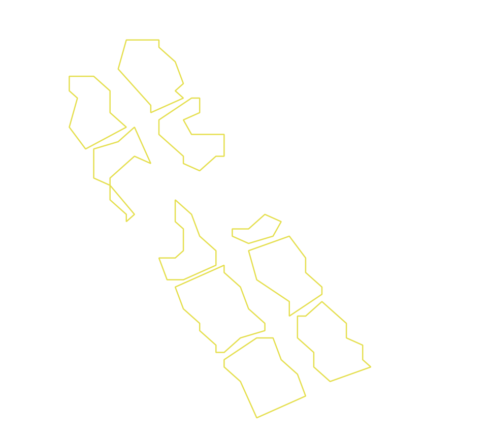 Daksegment ingezoomd met contourlijnen en structuurweergave
