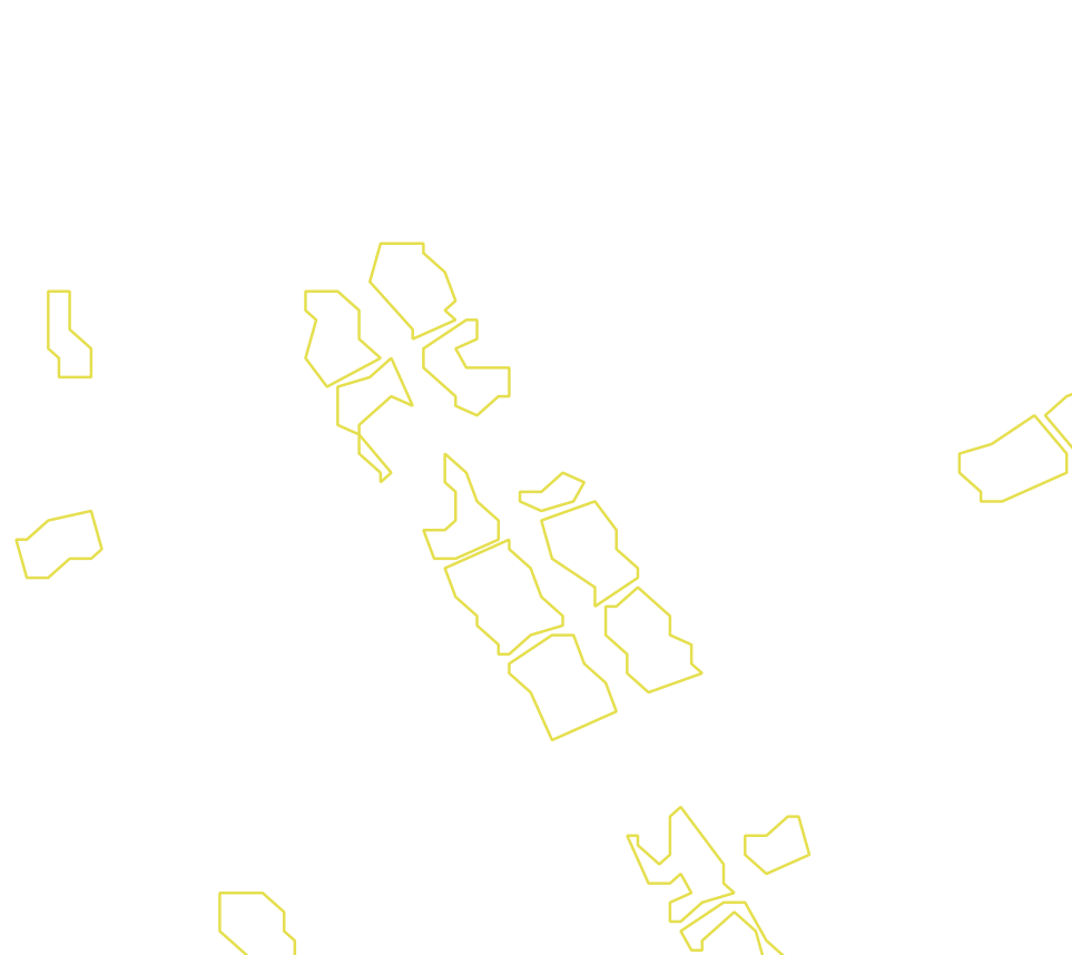 Daksegment met contourlijnen en structuurweergave