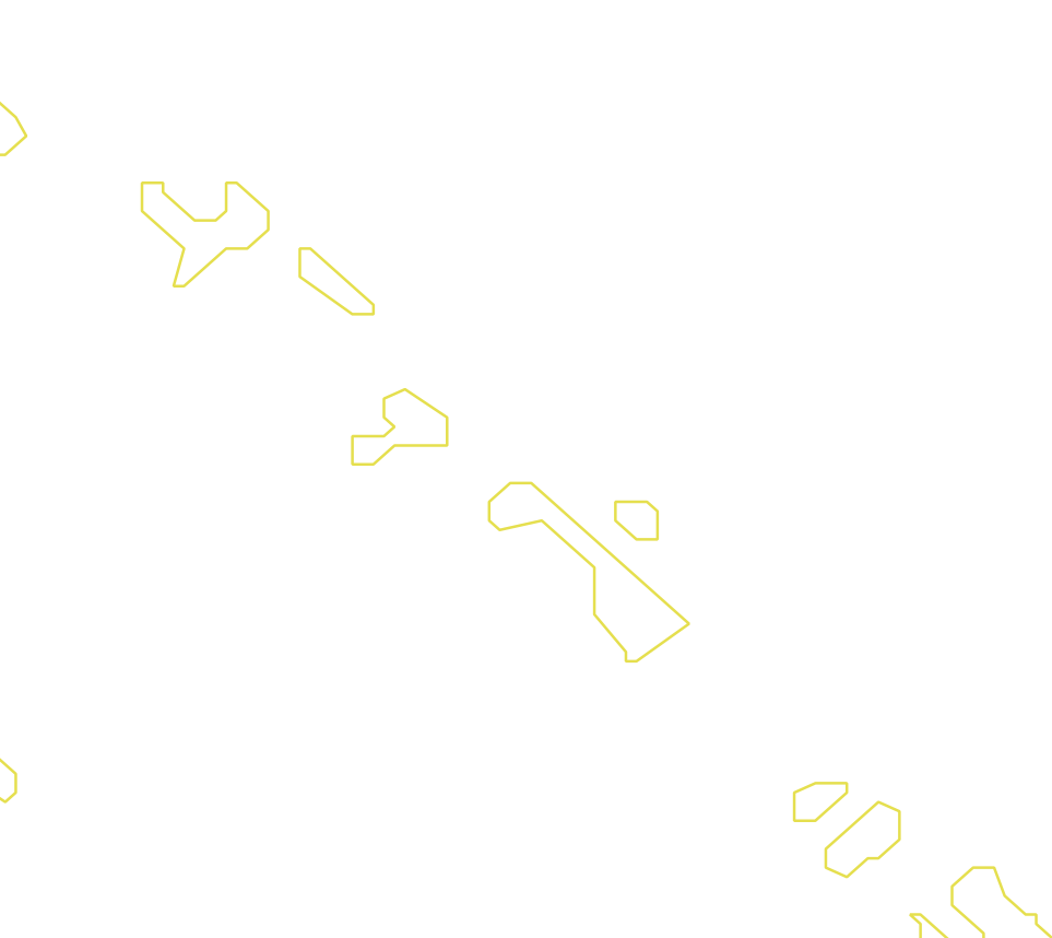 Daksegment met contourlijnen en structuurweergave