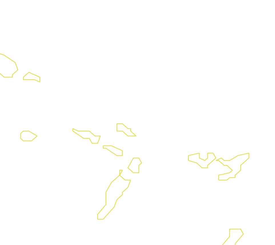 Daksegment met contourlijnen en structuurweergave