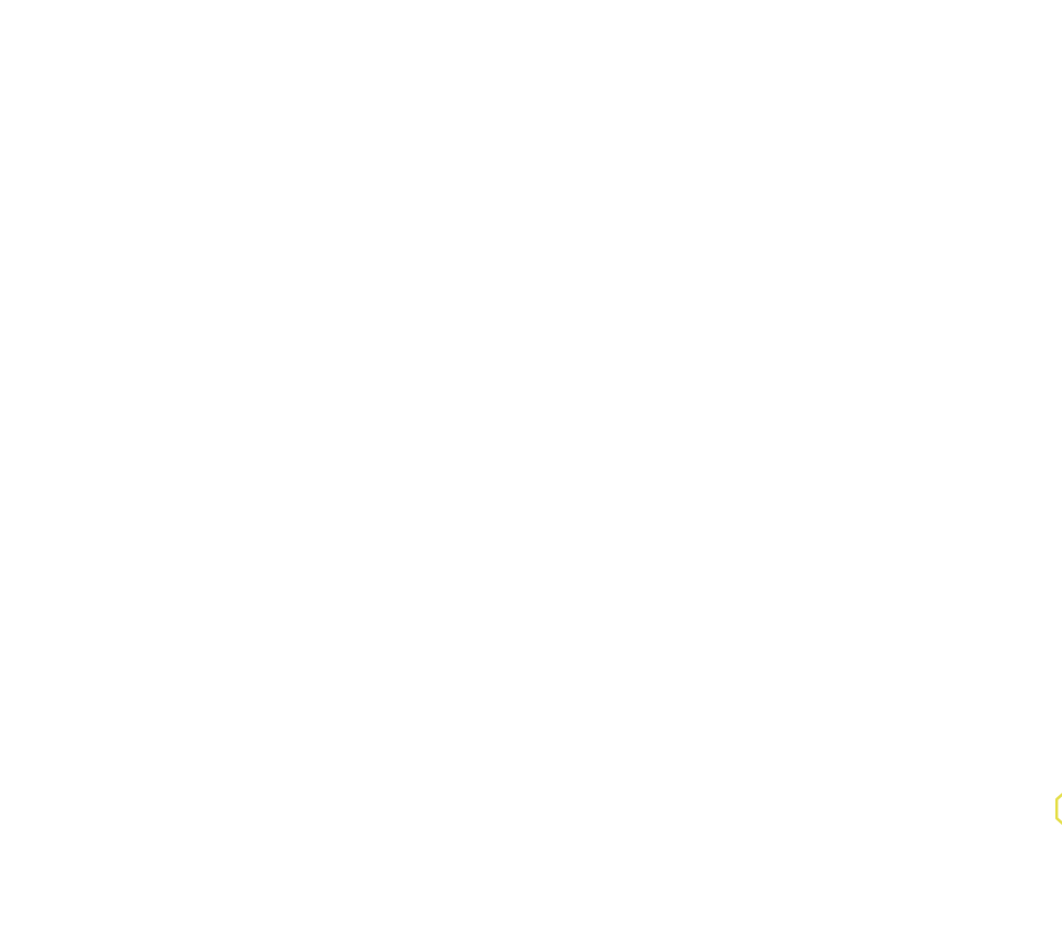 Daksegment met contourlijnen en structuurweergave