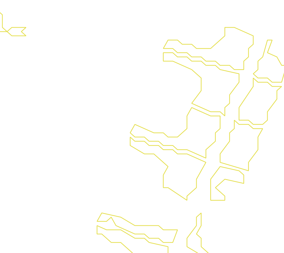 Daksegment ingezoomd met contourlijnen en structuurweergave