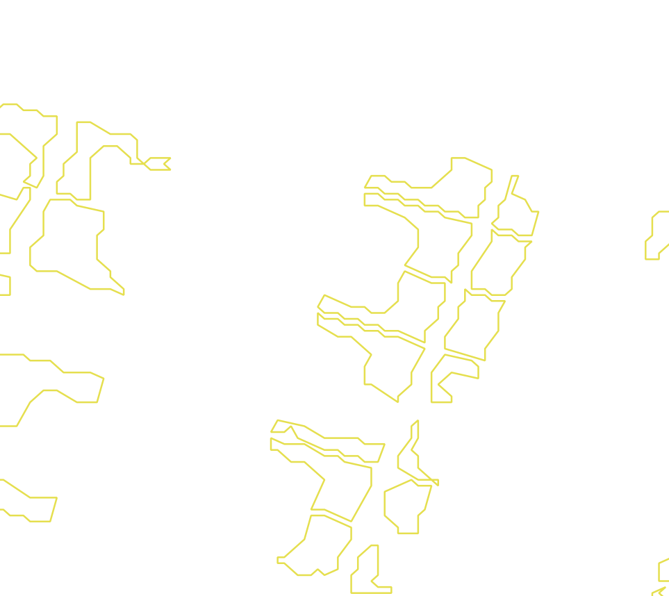 Daksegment met contourlijnen en structuurweergave