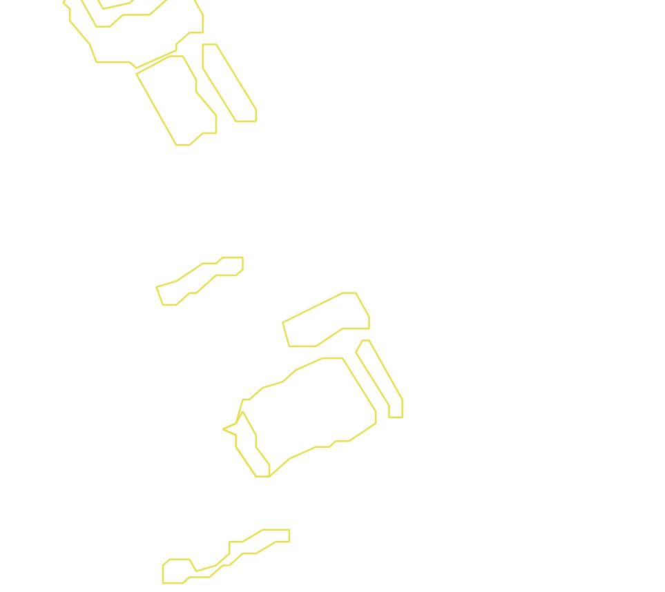 Daksegment met contourlijnen en structuurweergave
