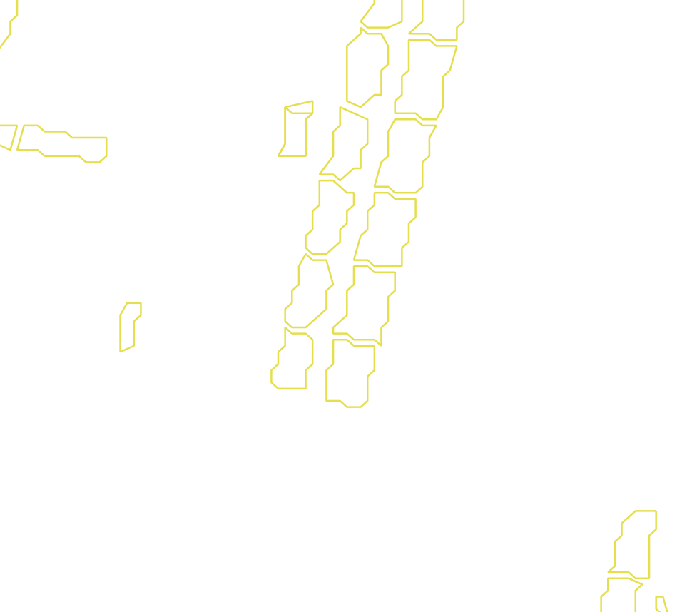 Daksegment met contourlijnen en structuurweergave