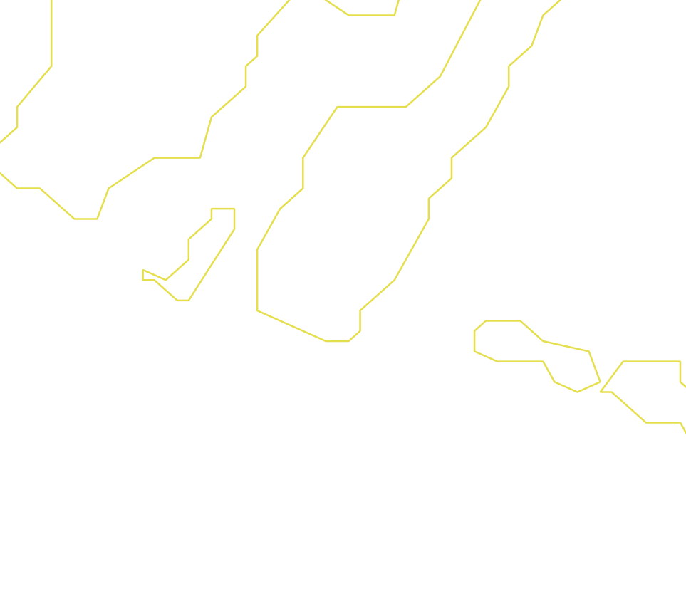 Daksegment ingezoomd met contourlijnen en structuurweergave