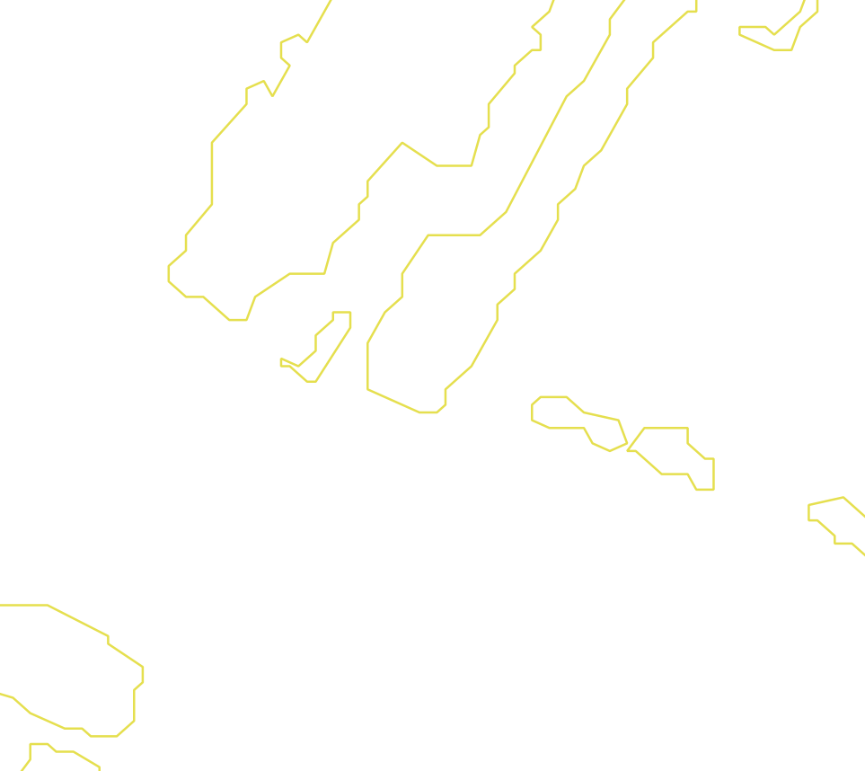 Daksegment met contourlijnen en structuurweergave