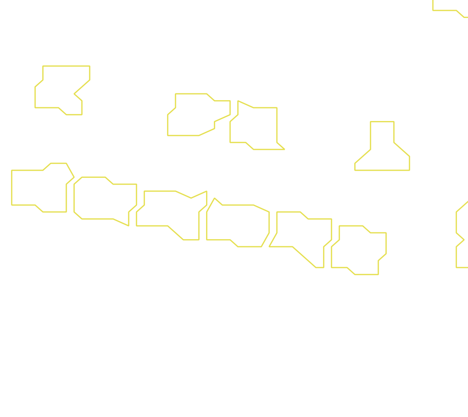 Daksegment ingezoomd met contourlijnen en structuurweergave