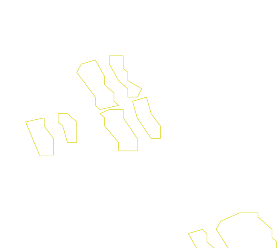 Daksegment ingezoomd met contourlijnen en structuurweergave