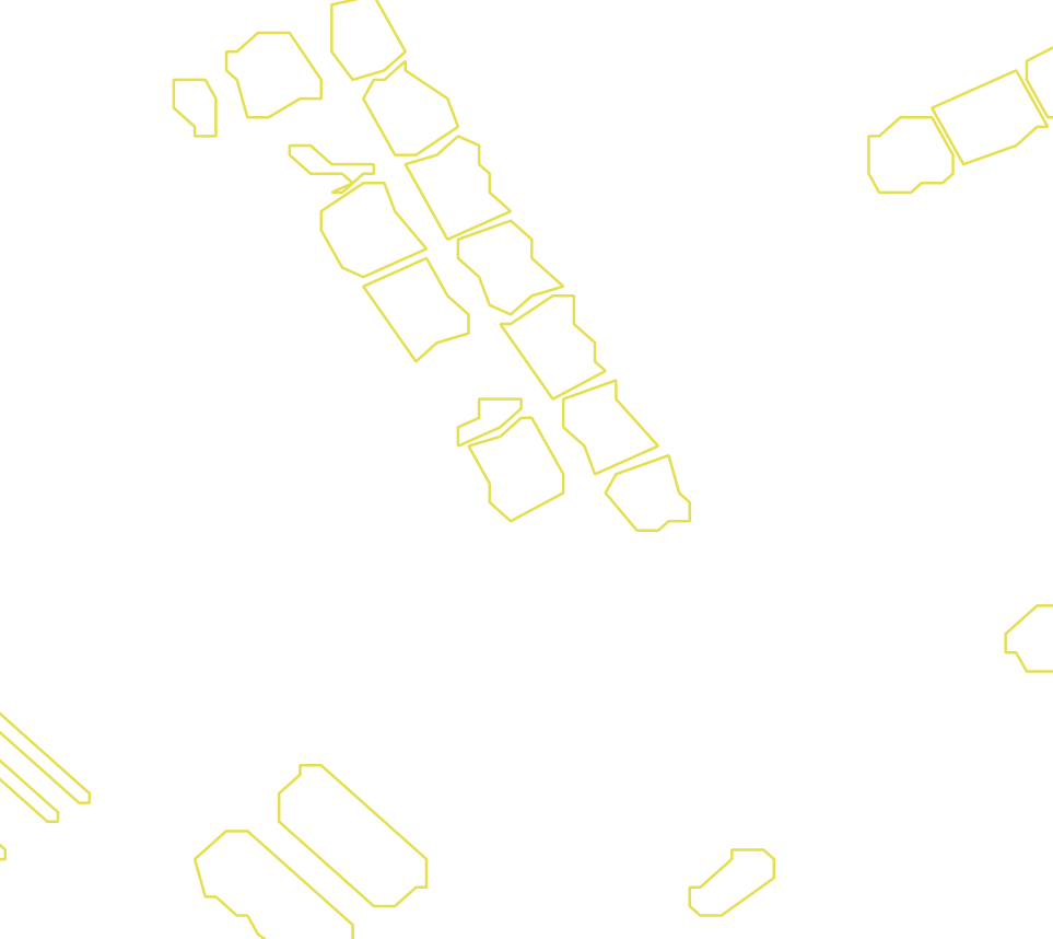 Daksegment met contourlijnen en structuurweergave