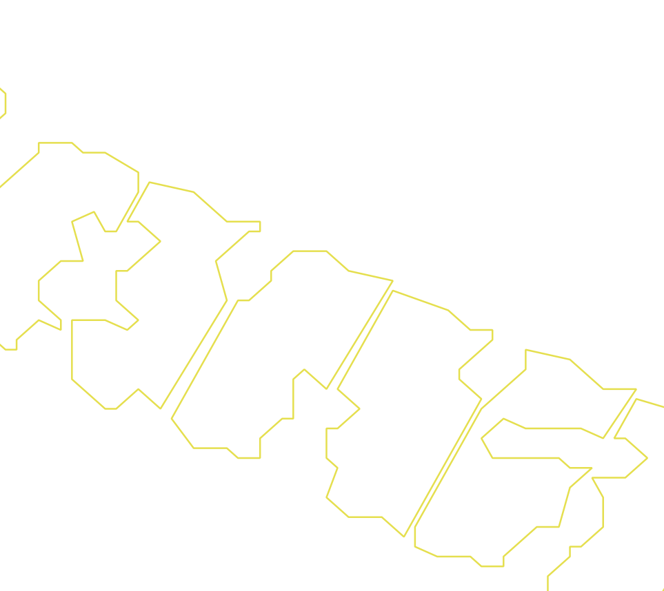 Daksegment ingezoomd met contourlijnen en structuurweergave