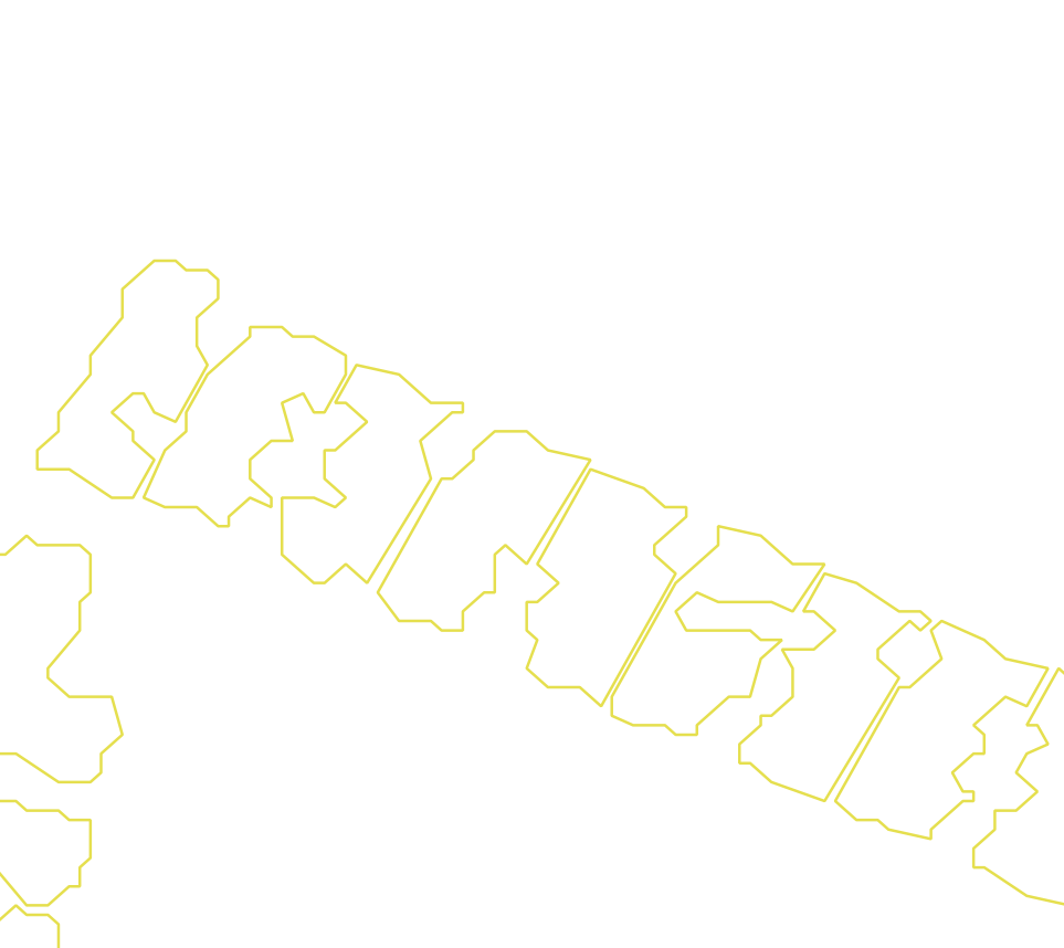 Daksegment met contourlijnen en structuurweergave