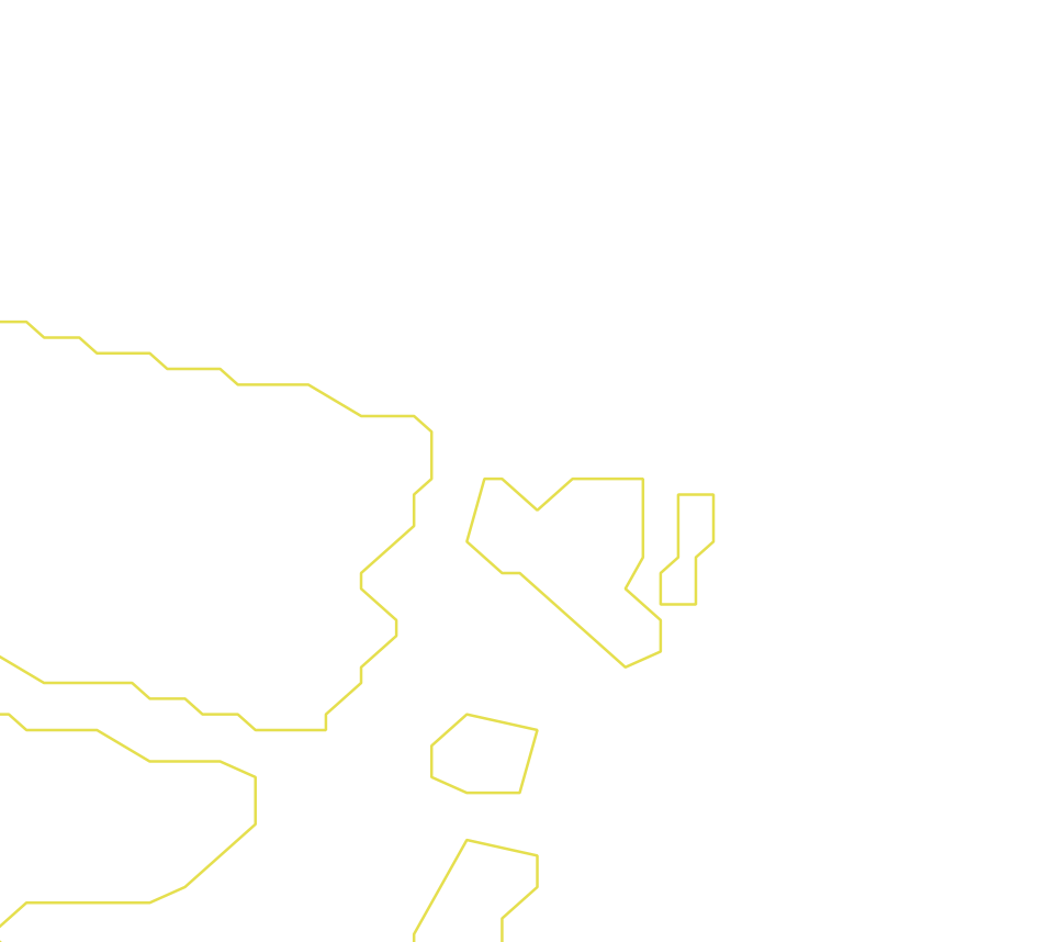 Daksegment ingezoomd met contourlijnen en structuurweergave