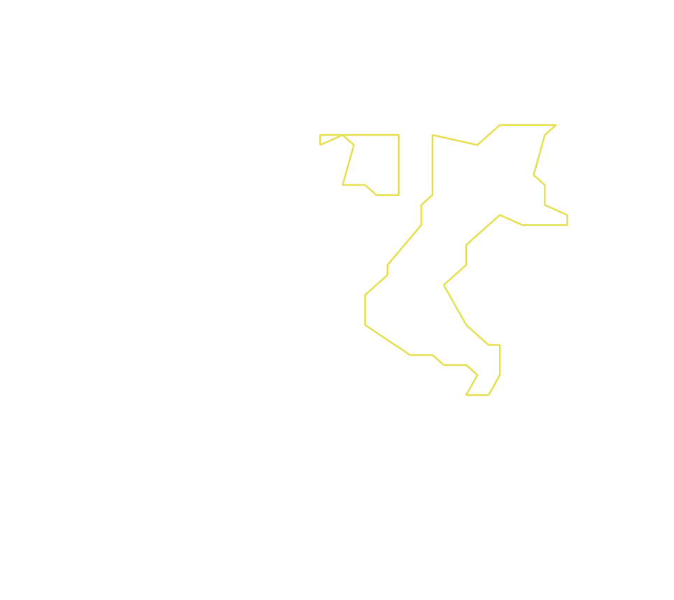 Daksegment ingezoomd met contourlijnen en structuurweergave