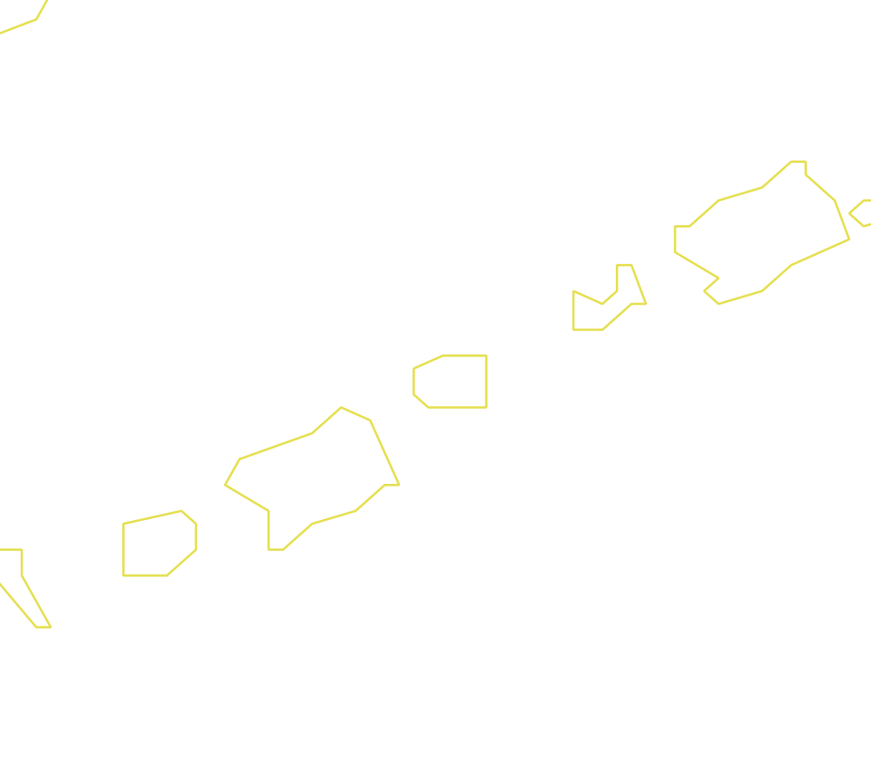 Daksegment ingezoomd met contourlijnen en structuurweergave