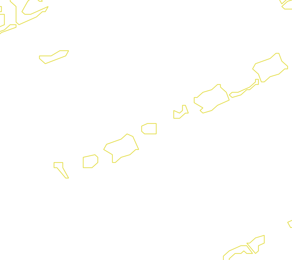 Daksegment met contourlijnen en structuurweergave