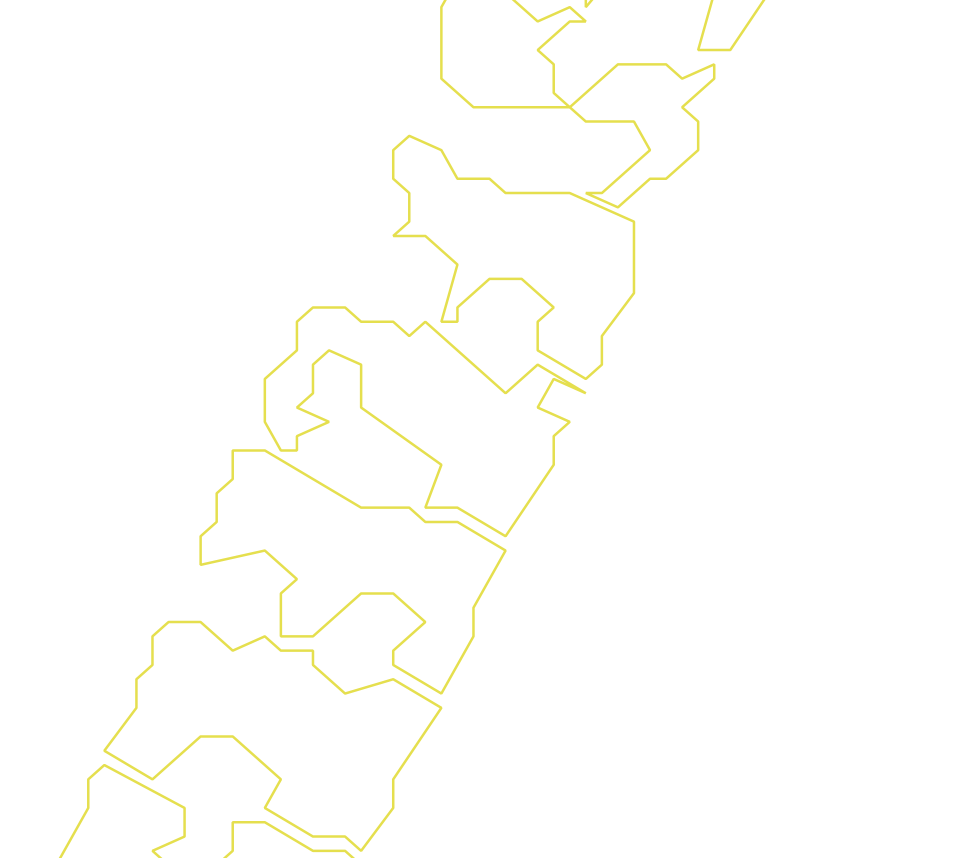 Daksegment ingezoomd met contourlijnen en structuurweergave